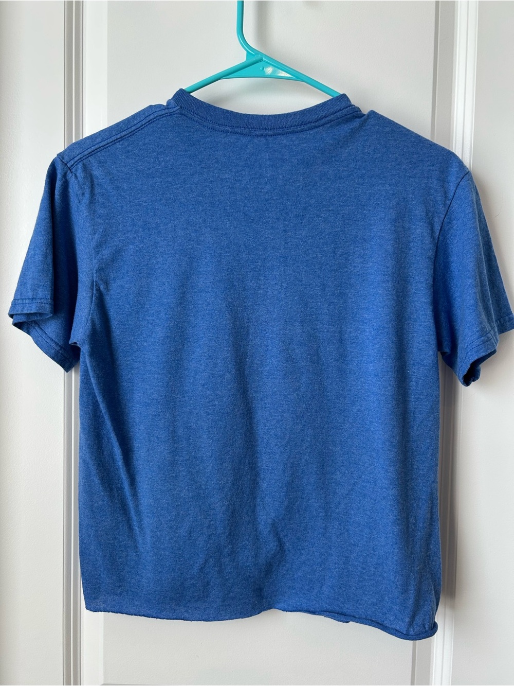 Peanuts Blue Snoopy & Woodstock Olympic Torch Graphic Tee - Picture 4 of 4